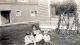 Lola Carolyn Inga Gloetzel