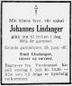 Johannes Eriksen Lindanger*